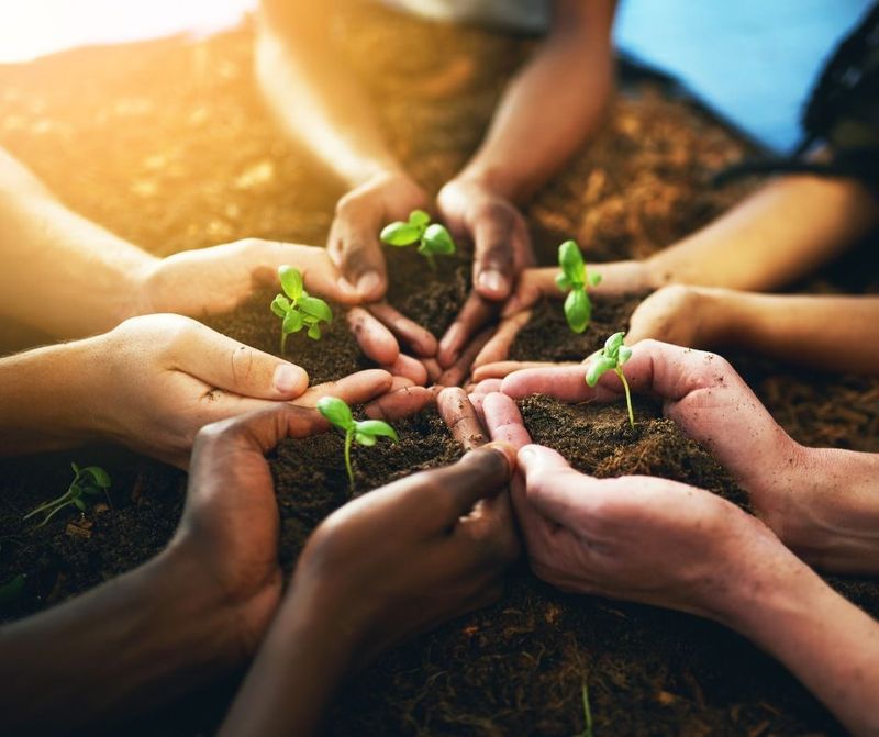 They take joy in your growth, not just your success